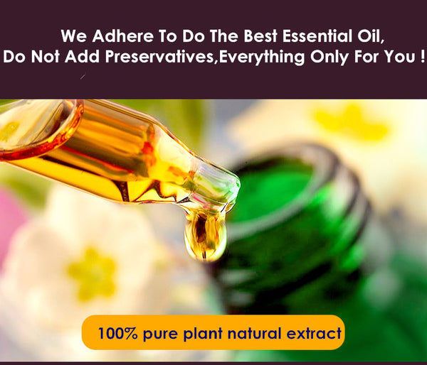 Lavender Fresh Essential Oil